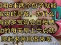 明明能出去买早餐，为什么还有家长每天早上六点就起来亲自做？